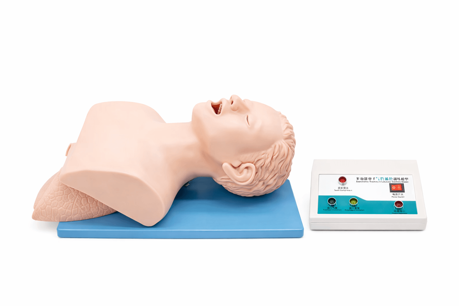 Electronic Trachea Intubation Training Model