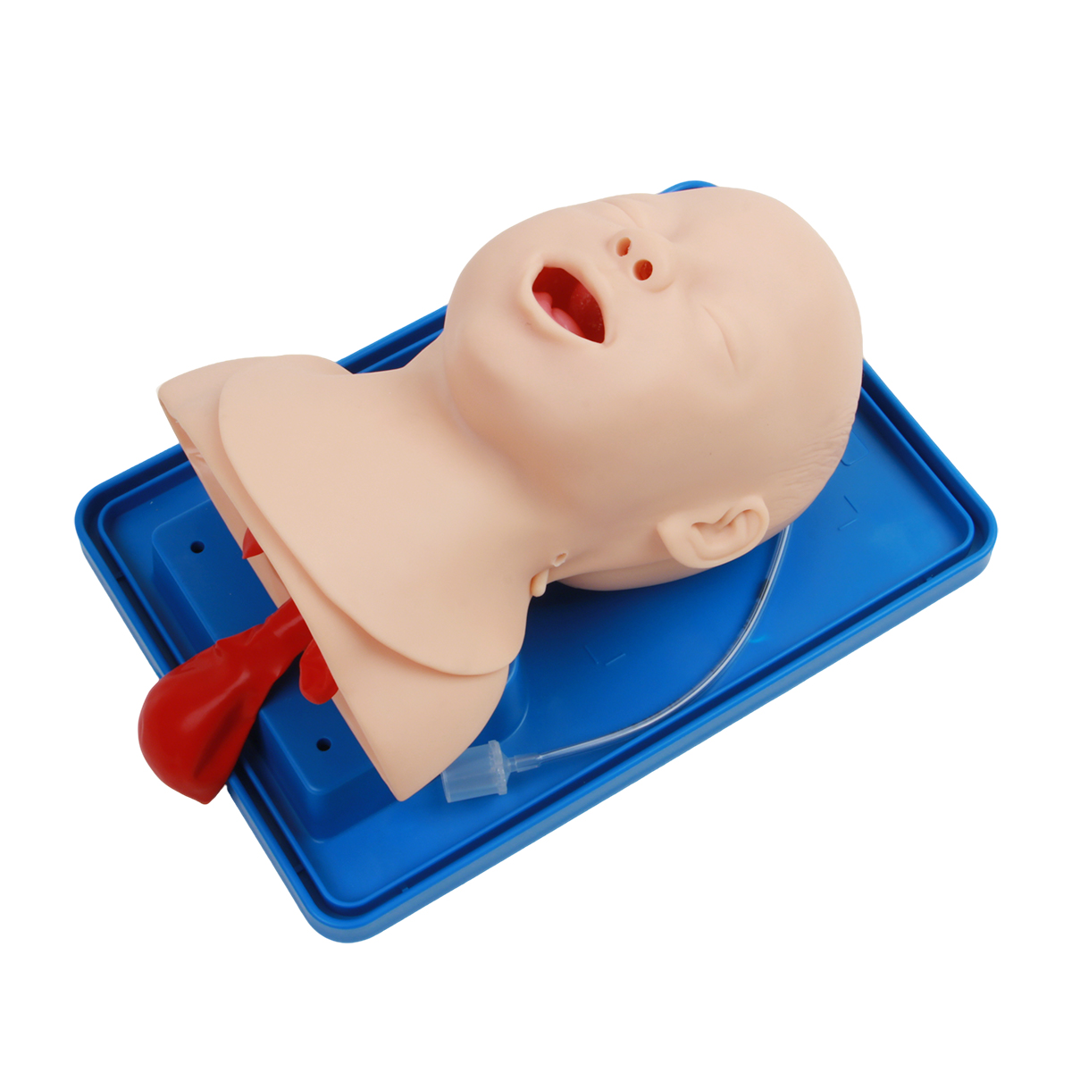 Infant Trachea intubation Model