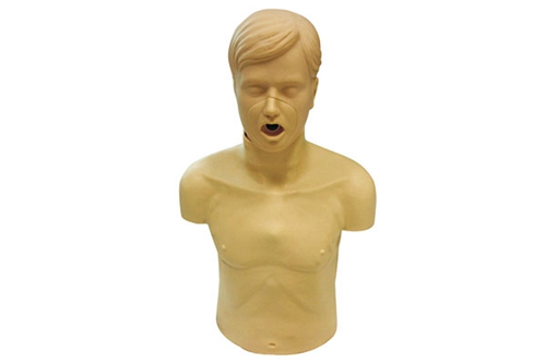 Adult Obstruction model