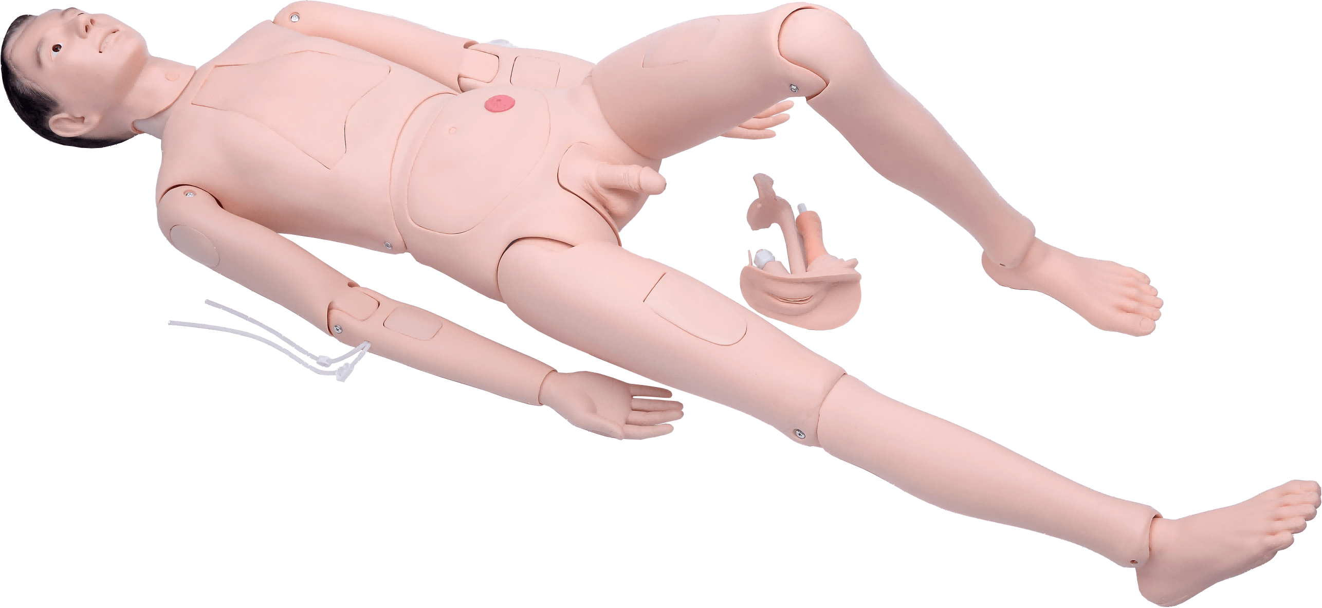 High Quality Nurse Training Manikin (Male)