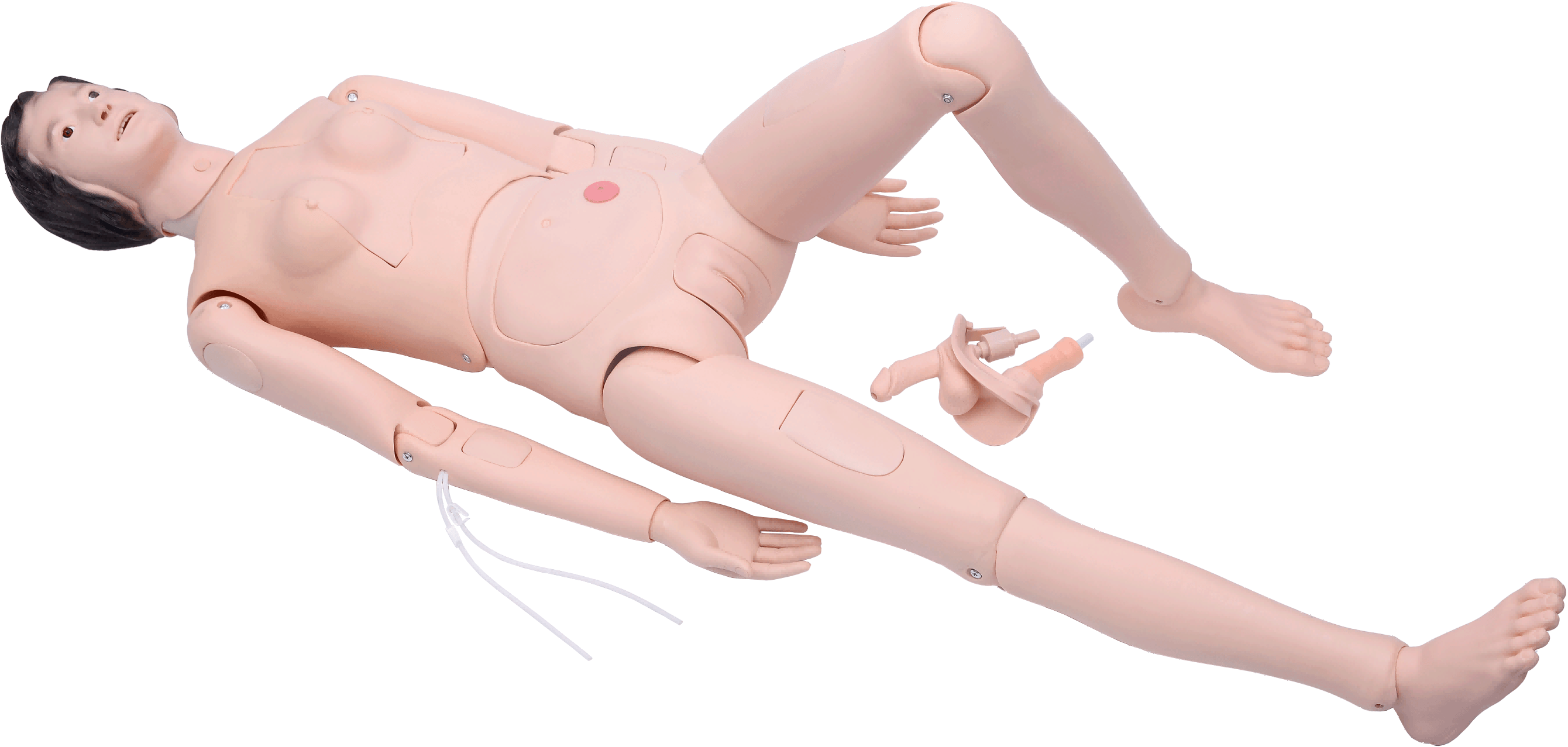 High Quality Nurse Training Manikin (Female)