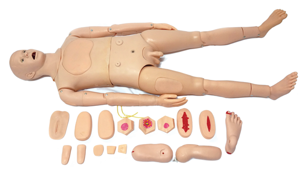 Comprehensive Nursing Training Manikin (Male)