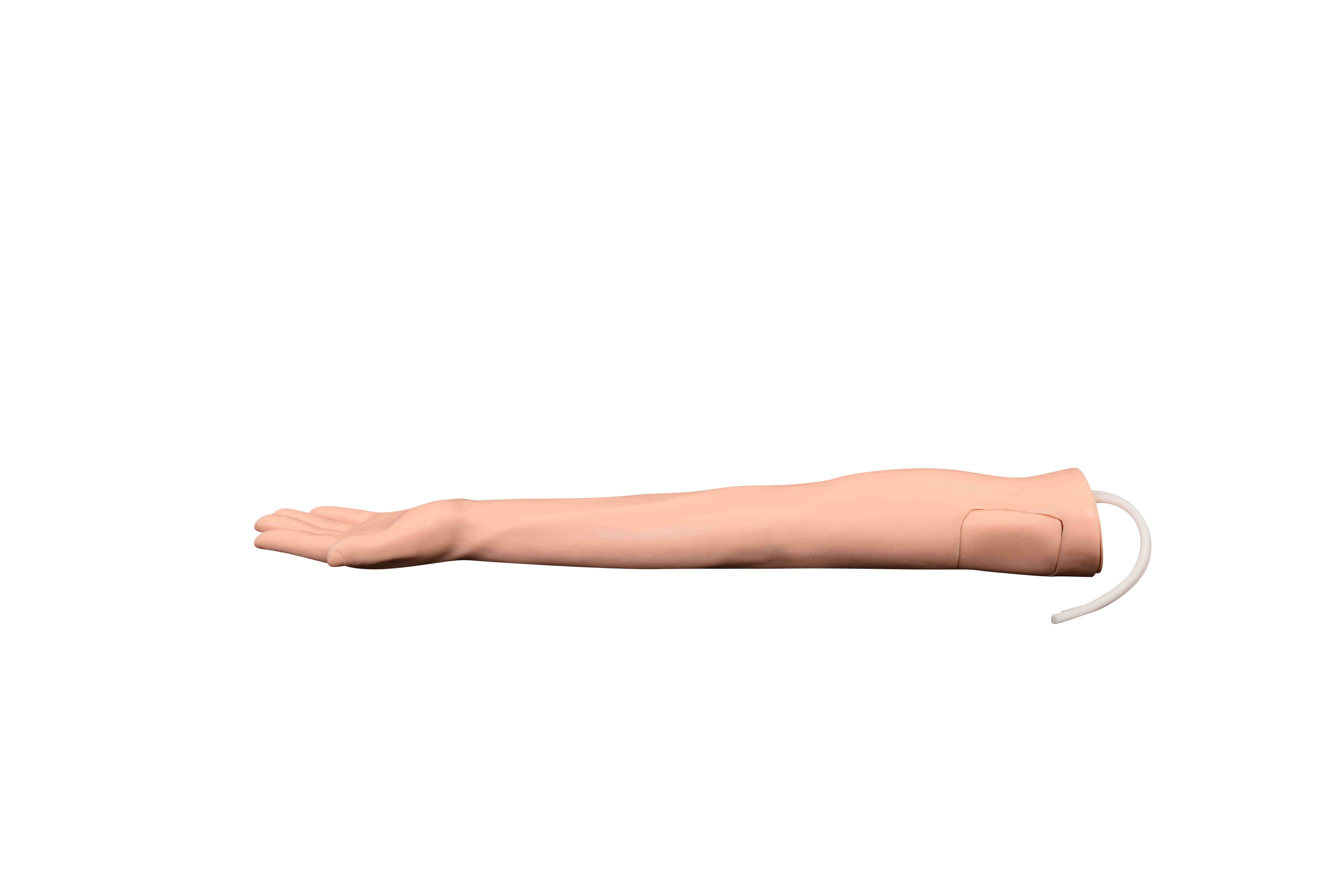 Injectable Training Arm Model (Without Set)