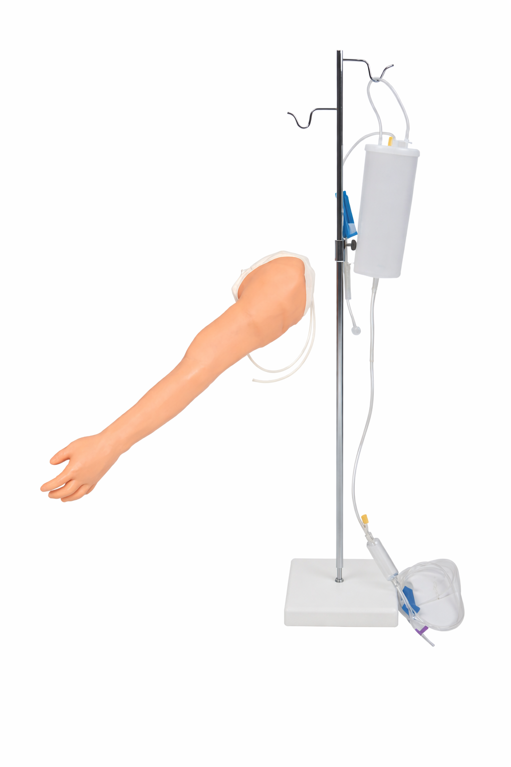Complete Venipuncture and Injection Training Arm