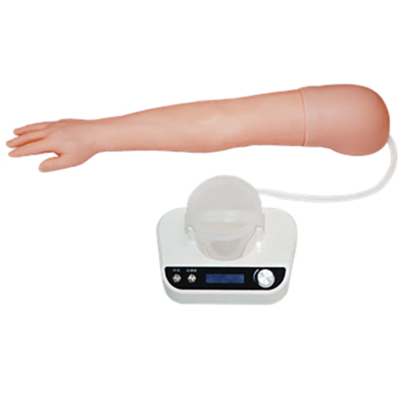 Advanced Arterial Puncture Training Arm