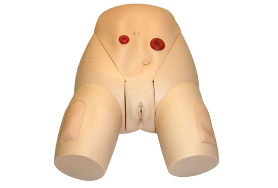 Female Catheterization Training Model