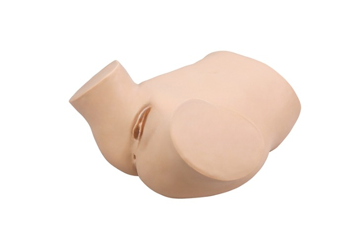 Intelligent Female Catheterization Training Simulator