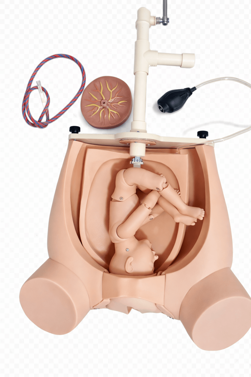 Manual Delivery Training Simulator (with Pelvic Airbag, Placenta & Umbilical Cord)