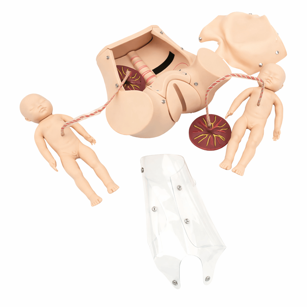 Childbirth Skills Training Simulator