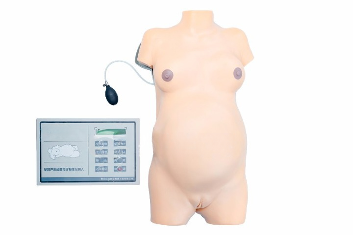 Advanced Obstetric Examination Simulator