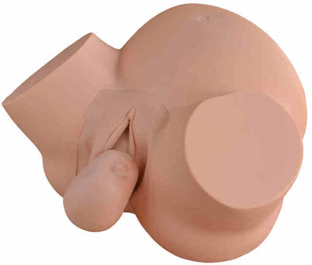 Midwifery Skills Training Simulator