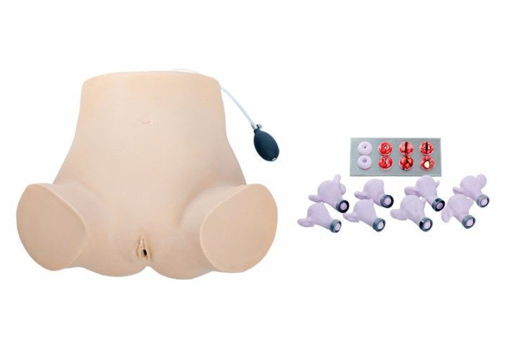 Gynecological Examination Model