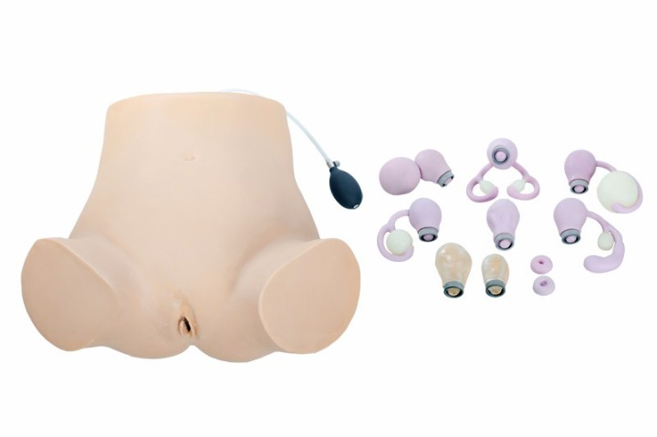 Gynecology Training Model