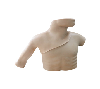 Peripheral & Central Venous Catheterization PICC Simulator