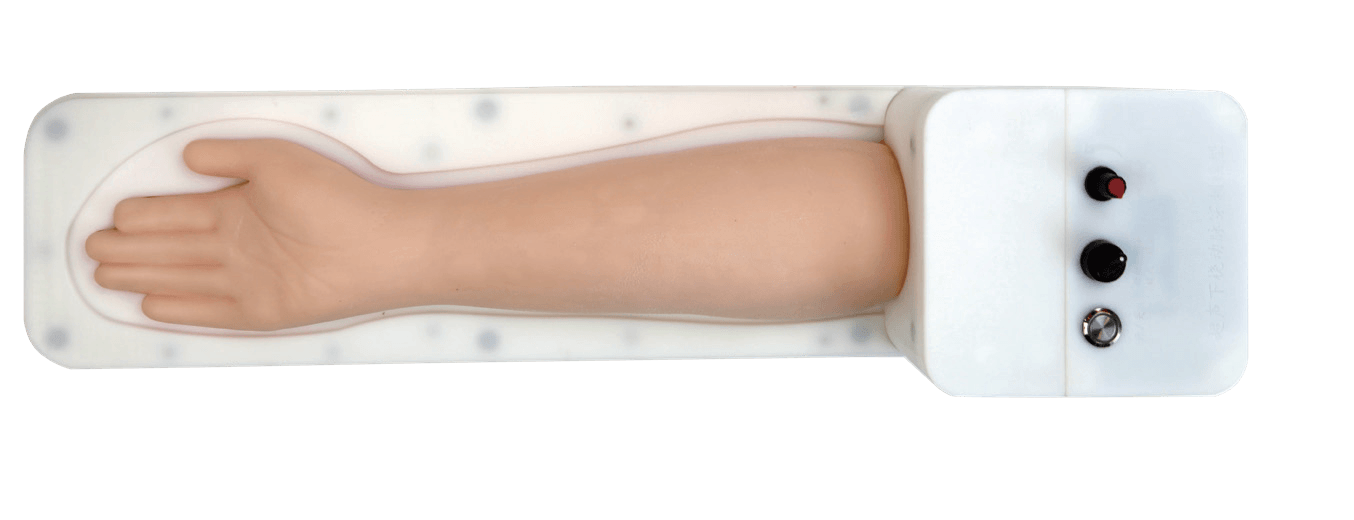 Ultrasound-Guided Radial Artery Puncture Model