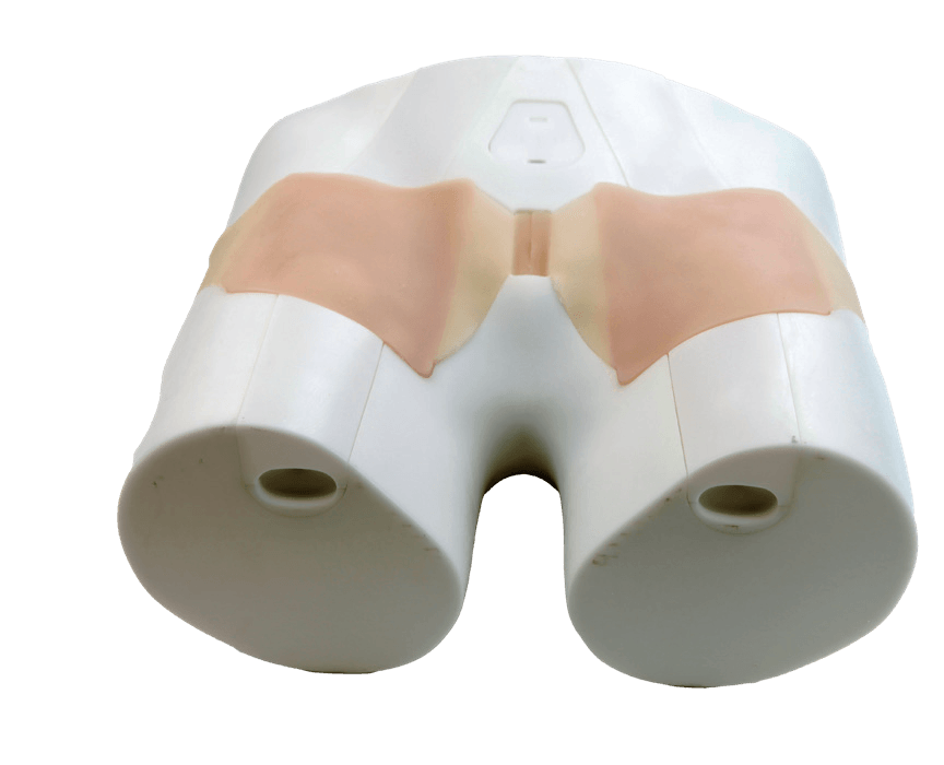 Ultrasound-Guided Femoral Artery Puncture Model