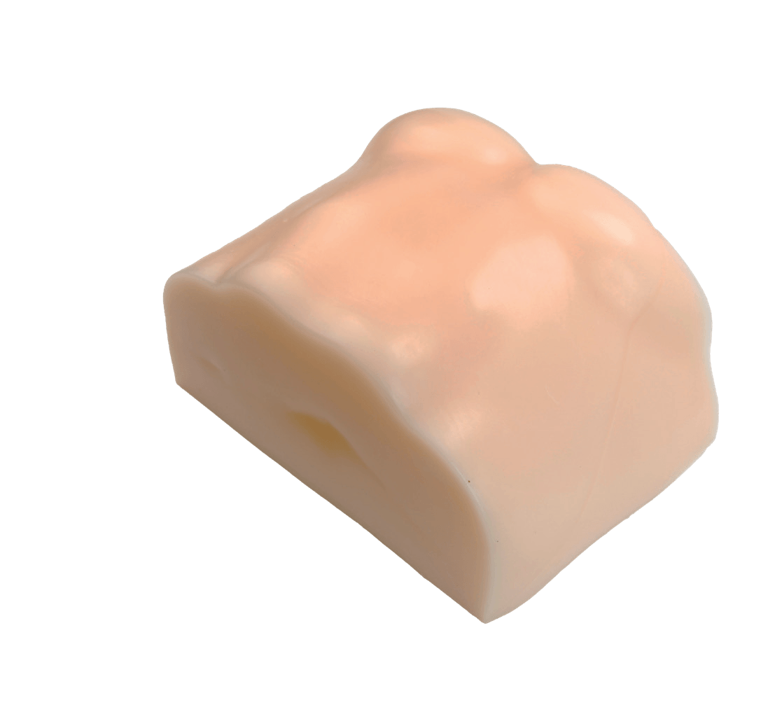 Ultrasound-Guided Liver Puncture Model
