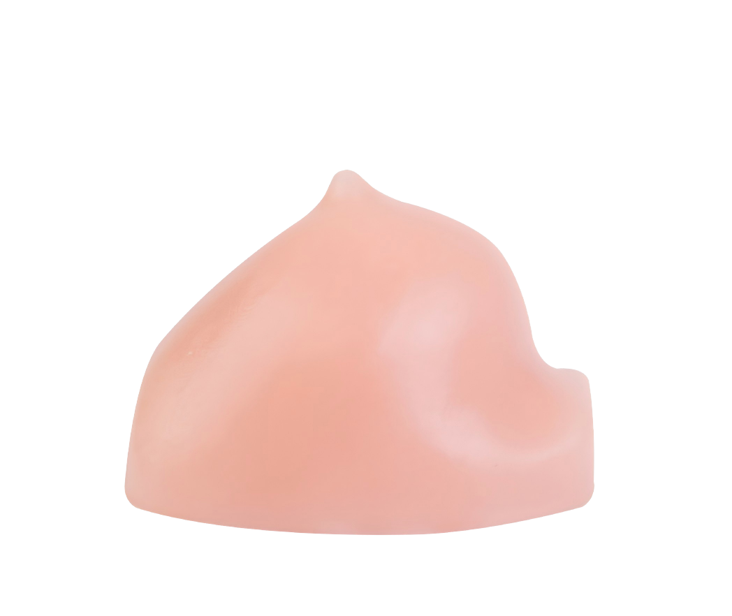Ultrasound-Guided Breast Biopsy Model