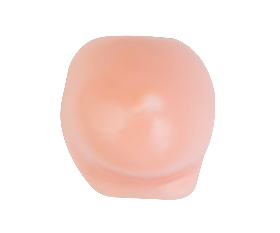 Ultrasound-Guided Breast Biopsy Model (Advanced)