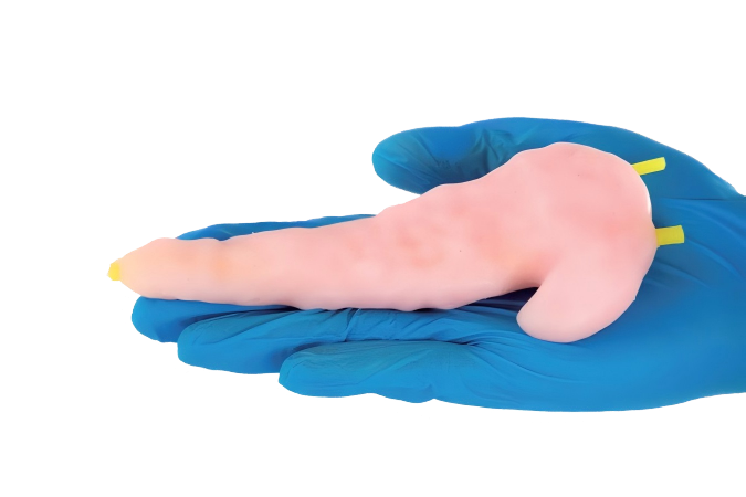 Pancreaticojejunostomy Training Model