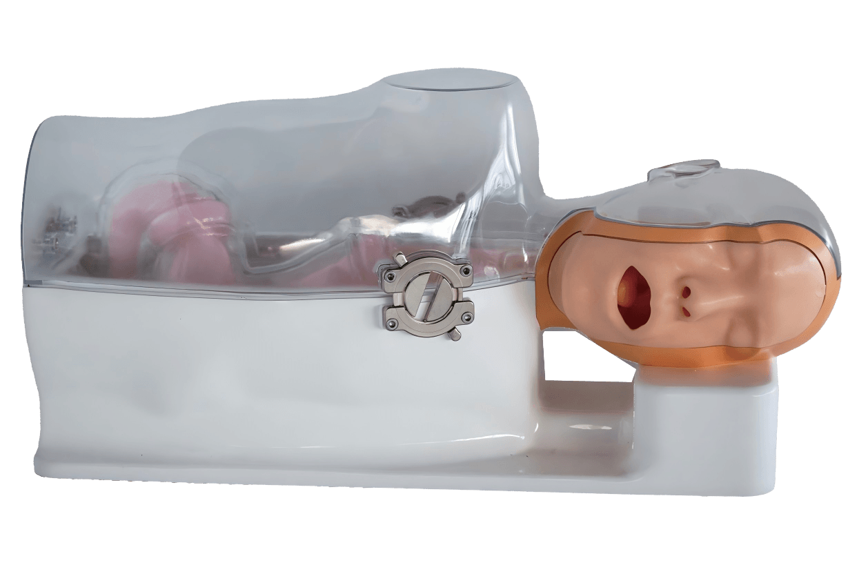 Gastroscopy Training Model (Advanced)
