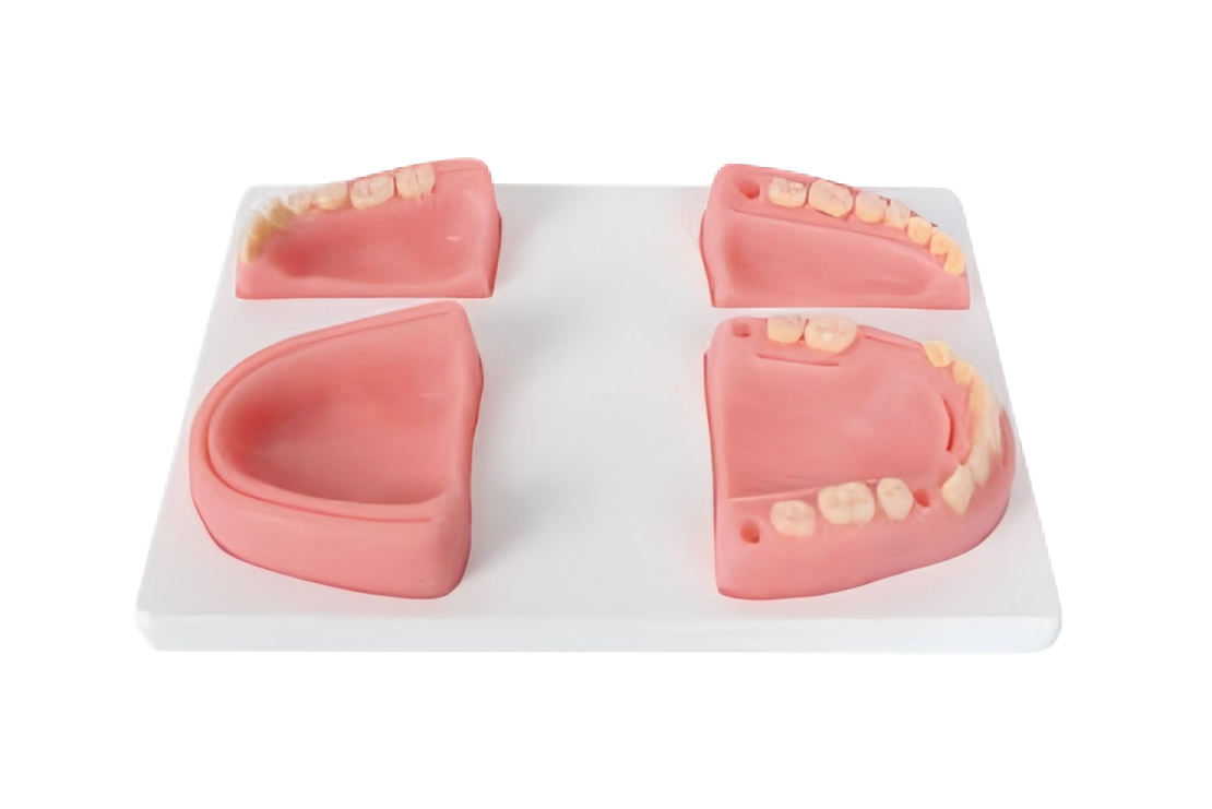 Dental Suturing Module, type I