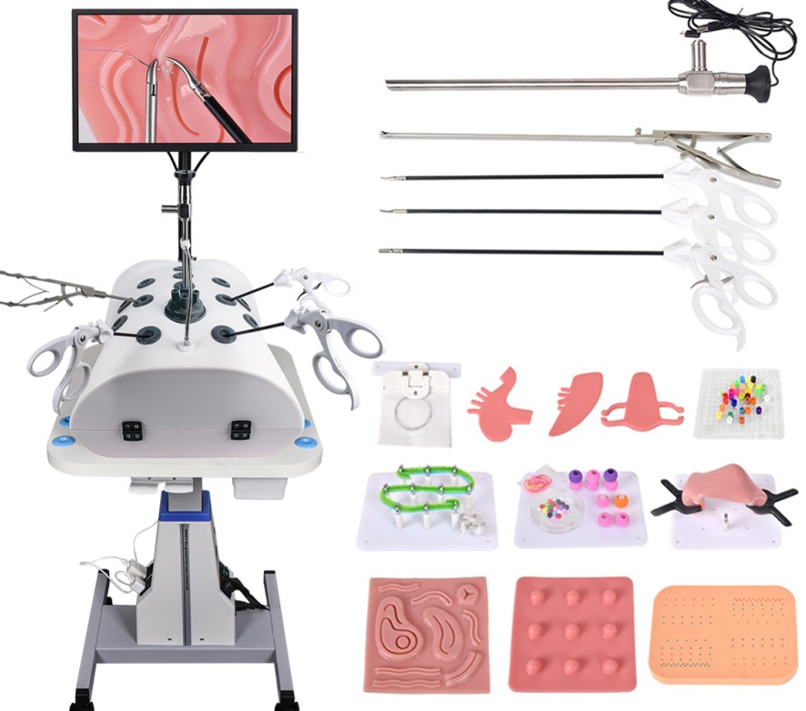 Abdominal Single-port Trainer Box